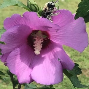 Meet your Posher, Kylie